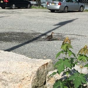 Meet your Posher, Michele